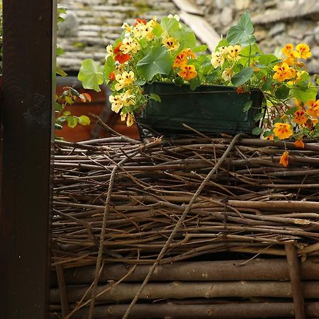 Residence Casa Dei Fiori Alagna Valsesia Exteriér fotografie