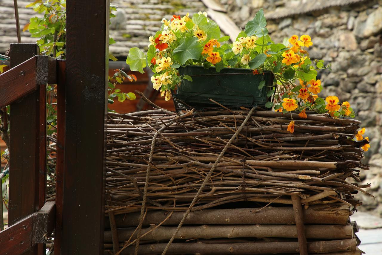 Residence Casa Dei Fiori Alagna Valsesia Exteriér fotografie